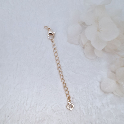 Карабин 10 мм с удлиняющей цепочкой, 65 мм, клевер, 14К, цве...